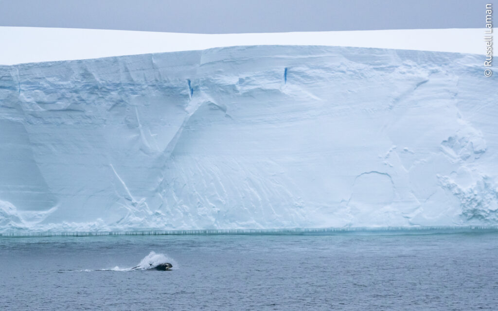 Cape Colbeck, Ross Sea, Antarctica