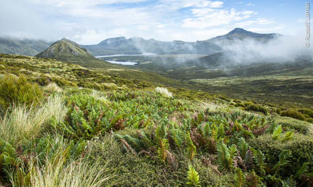 Campbell Island, New Zealand Sub Antarctic Islands